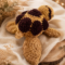 e4a1a926-78c7-45c5-8d05-7b211fc76900 Peluche Tortue
